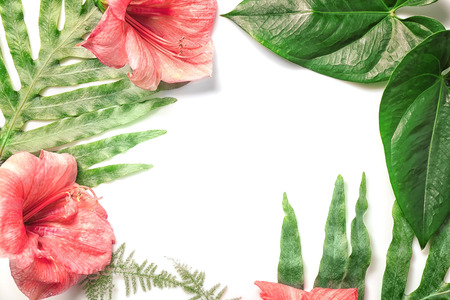 Composition of beautiful tropical leaves and flowers on white backgroundの写真素材