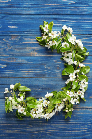 Tree branches with blooming flowers on wooden backgroundの写真素材
