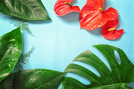 Composition of beautiful tropical leaves and flowers on color backgroundの写真素材