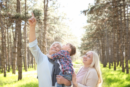Happy grandparents with little boy in forest on sunny dayの写真素材