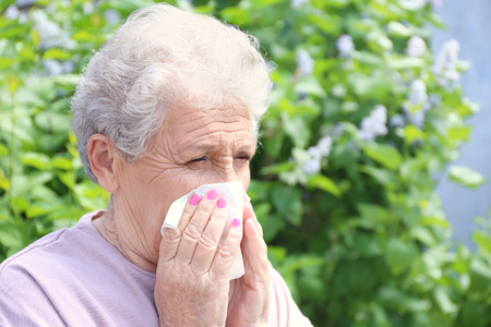 Sneezing elderly woman with nose wiper among blooming bushes. Concept of allergyの写真素材