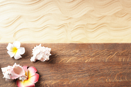 Composition with wooden board, sea shells and flowers on sand. Concept of travel and vacationの写真素材