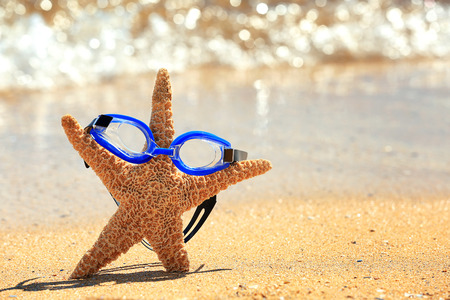 Swimming goggles and starfish on sand at sea shore. Vacation conceptの写真素材