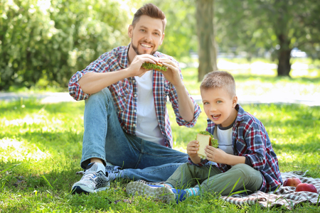 Dad and son eating lunch in the park on sunny dayの写真素材