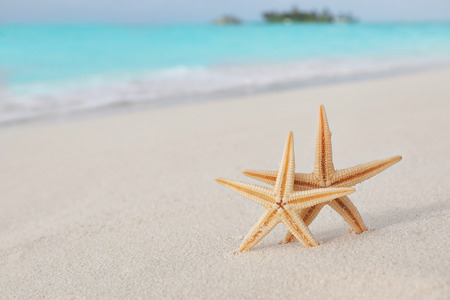 Starfish on beach sand at tropical resortの写真素材