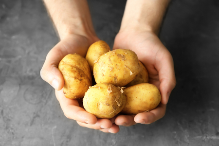 Man holding fresh young potatoes on grey backgroundの写真素材