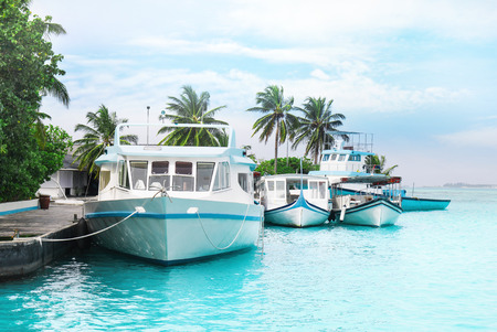Modern boats at tropical resort
