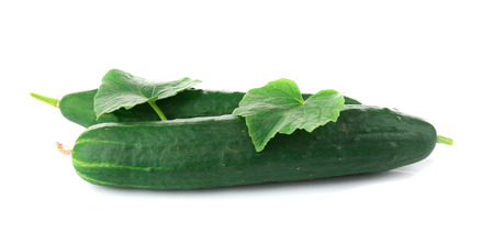 Fresh cucumbers on white backgroundの写真素材