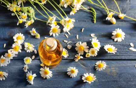 Bottle of essential oil and chamomile flowers on wooden tableの写真素材