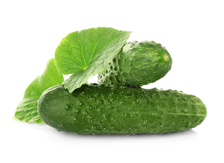 Fresh cucumbers on white backgroundの写真素材