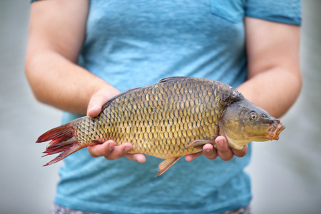 Man holding freshly caught fish, closeupの写真素材