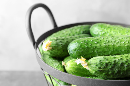 Many green fresh cucumbers in metal basket, closeupの写真素材