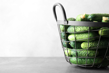 Many green fresh cucumbers in metal basket on gray tableの写真素材