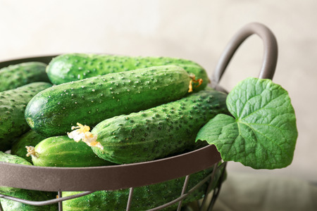 Many green fresh cucumbers in metal basket, closeupの写真素材