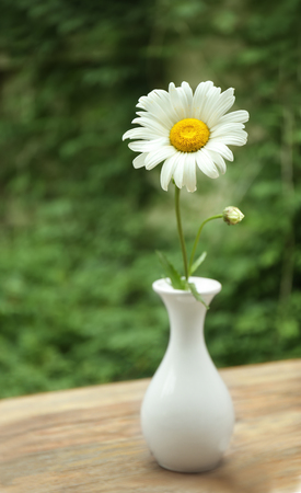 Beautiful chamomile in white vase on wooden table outdoorsの写真素材