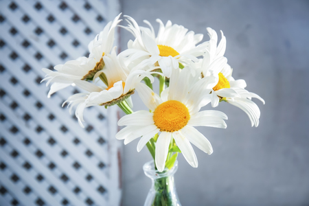 Bouquet of beautiful chamomiles in  vase on gray background, close upの写真素材