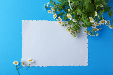 Blank greeting card and beautiful chamomile flowers on color backgroundの写真素材