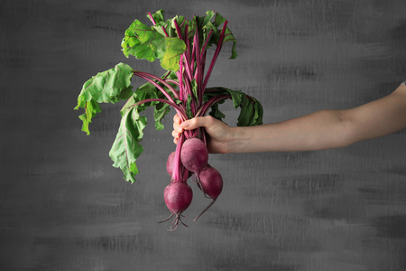 Female hand holding young beets on grey backgroundの写真素材
