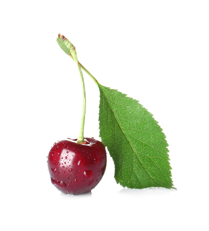 Fresh sweet cherry on white backgroundの写真素材