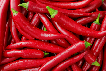 Many red chili peppers as backgroundの写真素材