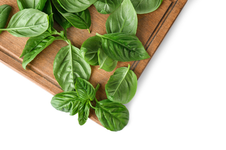 Green fresh organic basil leaves isolated on whiteの写真素材