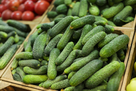 Fresh cucumbers in crate for sale at marketの写真素材
