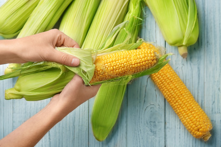 Woman removing leaves from fresh corn cob at wooden table