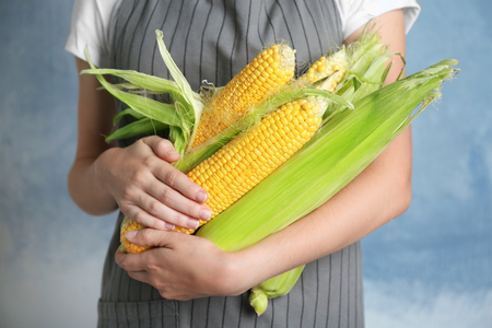 Woman holding fresh corn cobs on grunge backgroundの写真素材