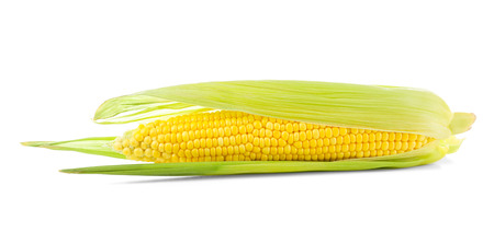 Fresh corn cob, isolated on white background