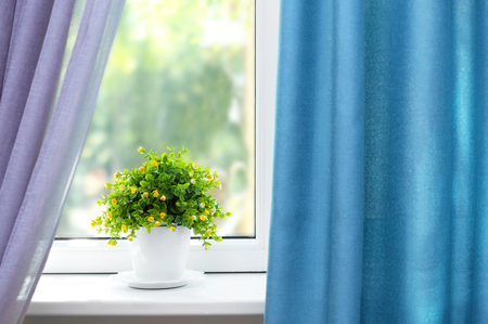 Beautiful view of houseplant on windowsill and curtainsの写真素材