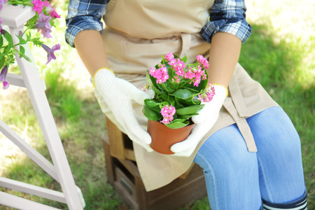 Woman taking care of plants in backyardの写真素材