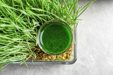 Sprouted wheat and shot of healthy grass juice on tableの写真素材