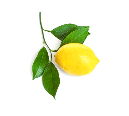 Ripe yellow lemon on white backgroundの写真素材