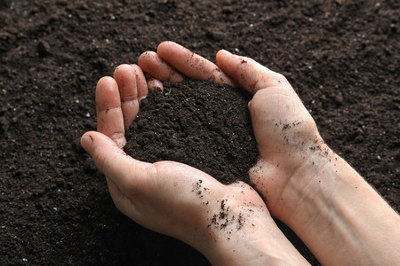 Woman holding black soil above groundの写真素材