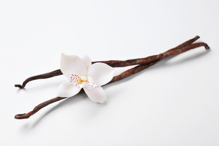 Dried vanilla pods and flower on light backgroundの写真素材