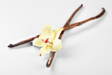 Dried vanilla pods and flower on light backgroundの写真素材