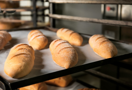 Loaves of bread on shelving in bakery