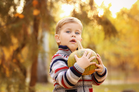 Cute little child with pumpkin in autumn parkの写真素材