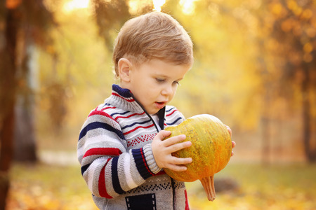 Cute little child with pumpkin in autumn parkの写真素材