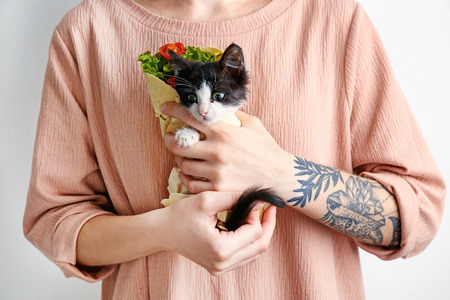 Woman holding little funny kitten in lavash, closeupの写真素材
