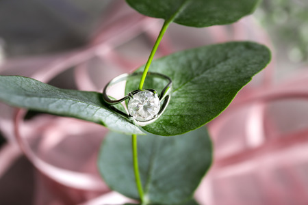 Beautiful engagement ring on stem of plant, closeup