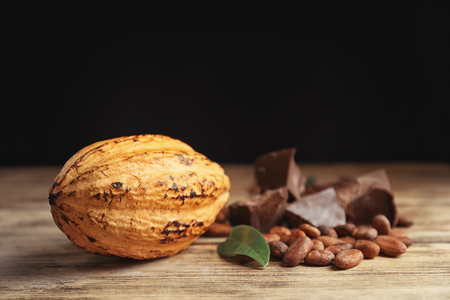 Cocoa pod and beans on wooden tableの写真素材