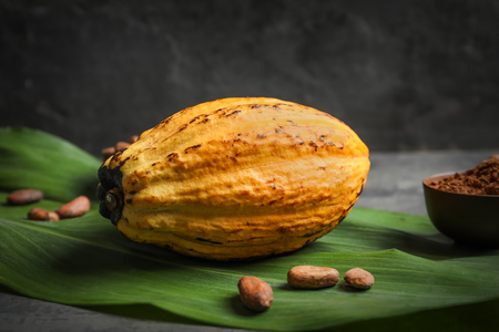 Ripe yellow cocoa pod with leaf on tableの写真素材