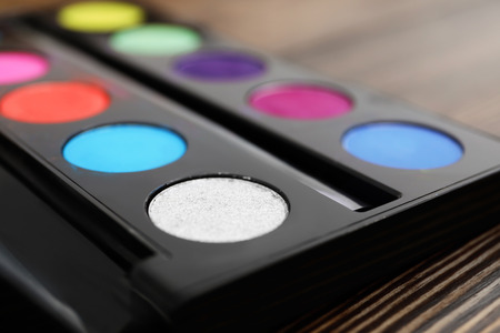 Eyeshadow palette of professional makeup artist, closeupの写真素材