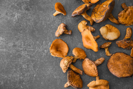 Raw forest mushrooms on grey backgroundの写真素材