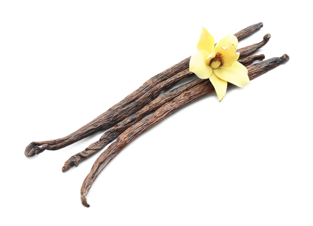 Vanilla sticks and flower on white backgroundの写真素材