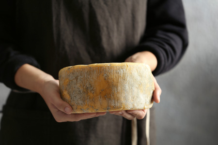 Woman holding delicious cheese, closeupの写真素材