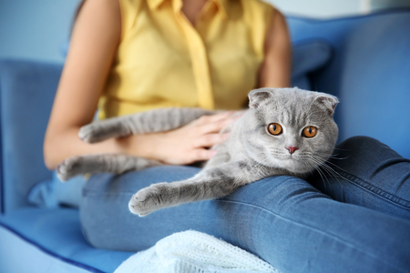 Young woman with cute pet cat at homeの写真素材