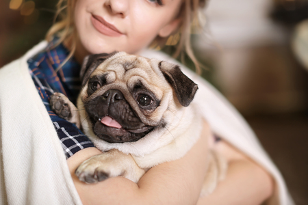Young woman with cute pug dog at home. Pet adoptionの写真素材
