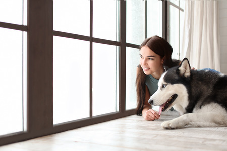Young woman with cute Husky dog near window at home. Pet adoptionの写真素材